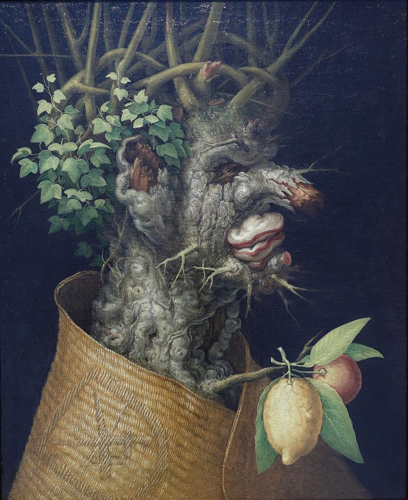 WinterPor Giuseppe Arcimboldo - LSH 91503 (sm_dig7869), Dominio pubblico, https://commons.wikimedia.org/w/index.php?curid=36888586