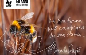 Il WWF Italia festeggia 60 anni di conservazione