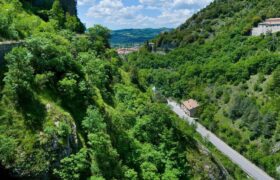 Le foreste italiane hanno tranquillamente preso il posto dei terreni agricoli